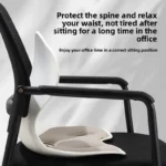 پشت کمری طبی مدل Ergonomia - Image 11